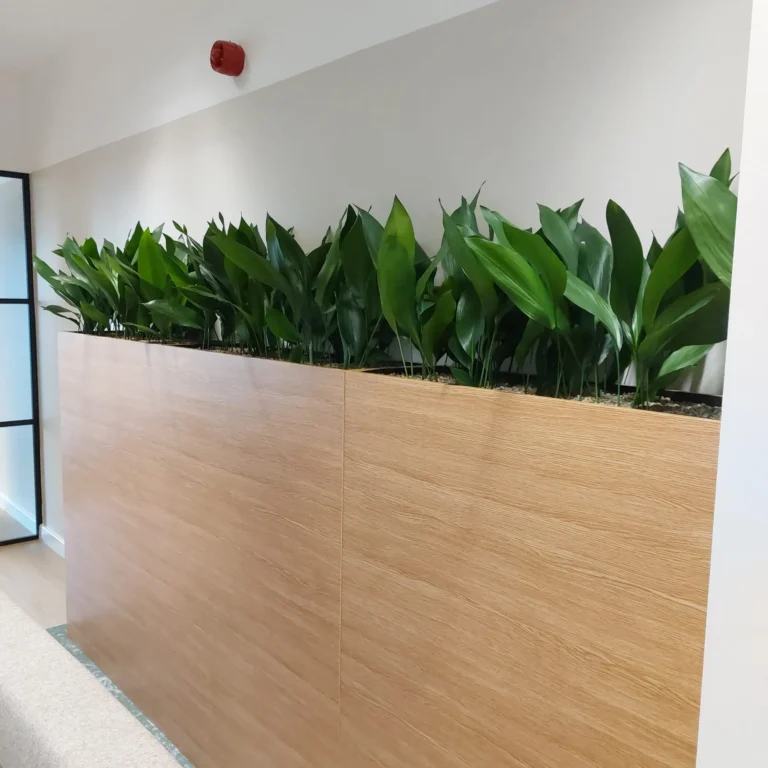 Newcastle Office Biophilic 2