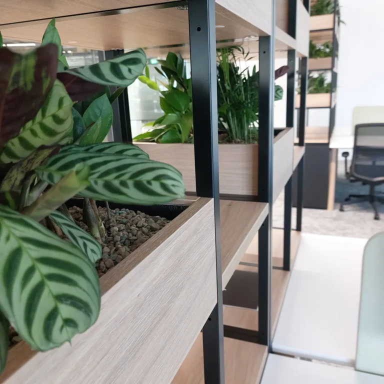 Newcastle Office Biophilic 4