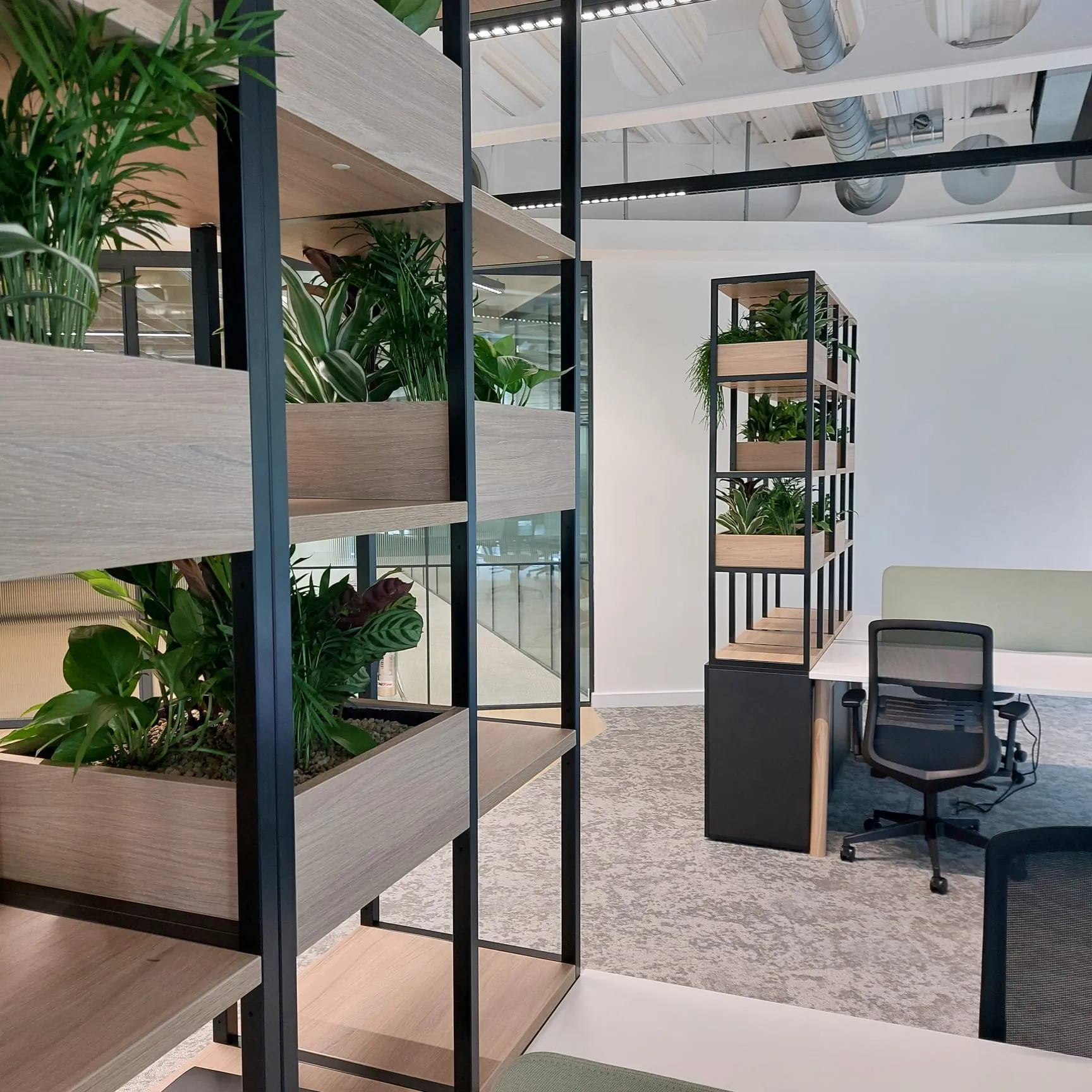 Newcastle Office Biophilic 5