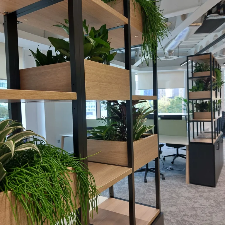Newcastle Office Biophilic 7